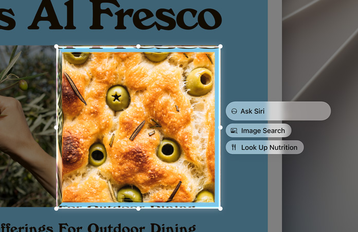 Visual Intelligence, Ask Siri, Image Search, and Nutritional Value boxes appear to the right of a highlighted image of olives baked into focaccia